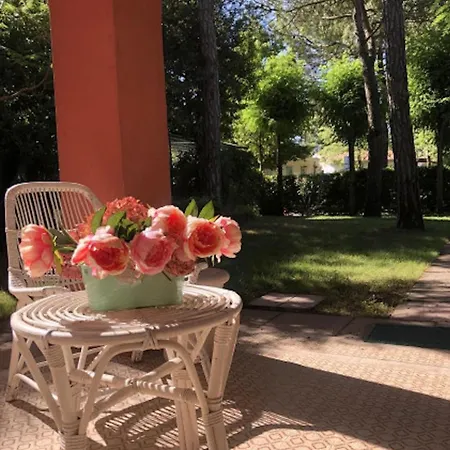 Villa Beautiful Near The *