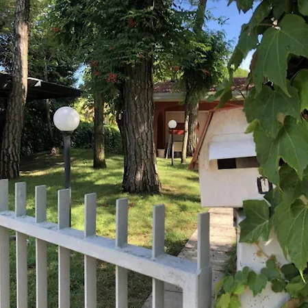 Villa Beautiful Near The